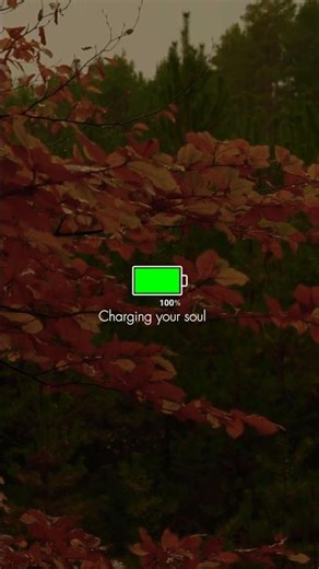 Tired? Try the 26-Minute NASA Hack 🧠 #rainsounds #shorts #powernap #recharge #NASA #powernap