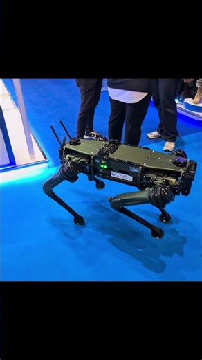 Robo dog (quadruped robot)
