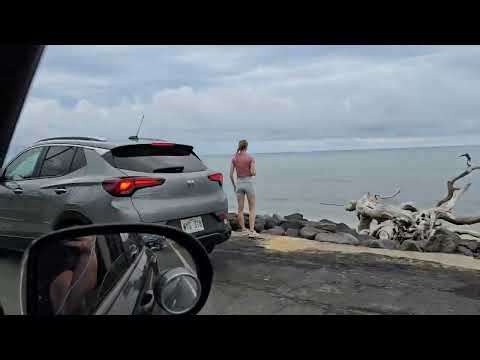 It stopped raining and we went geocaching!