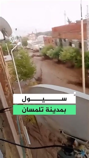 مشاهد لسيول جارفة تأكل الأخضر واليابس بولاية تلمسان في الجزائر
