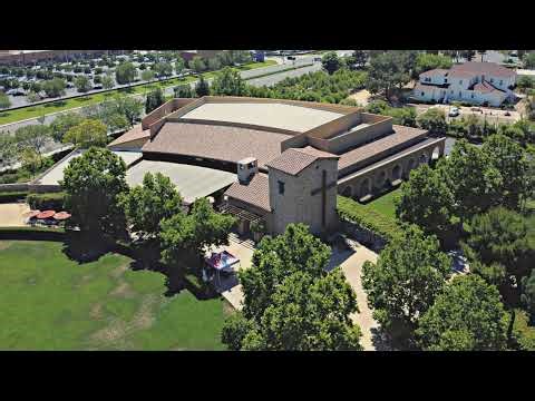 STM Livestream: 8AM Monday Mass