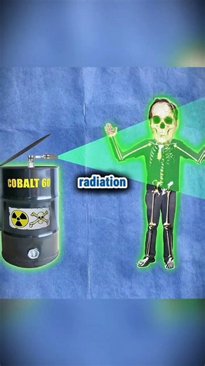 💀☢️Сockroaches vs radiation: the ultimate myth
