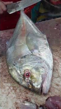 This Fishmonger Fillets Fish SO FAST! 😱 Busy Market Skills