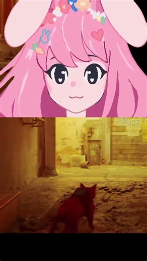 The truth comes out 😿