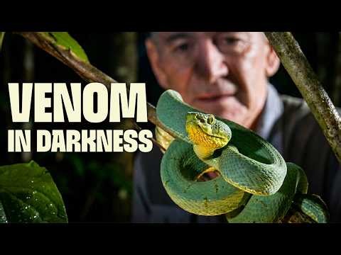 Snakes That Strike in Complete Darkness | FULL DOCUMENTARY | Ten Deadliest Snakes with Nigel Marven