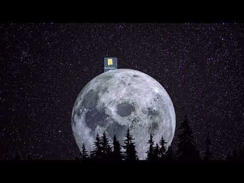 *NEW* Bee Swarm Simulator Script (PASTEBIN 2026) ( AUTO CONVERTER , AUTOFARM , AVOID/KILL MOBS )