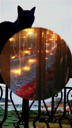 Σαν σήμερα, πριν από 3 χρόνια…