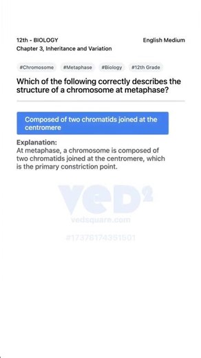 Chromosome Structure at Metaphase Explained Biology 12th