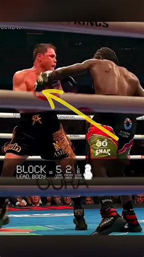 Terence Crawford's ELITE 4-Punch Combo vs Canelo