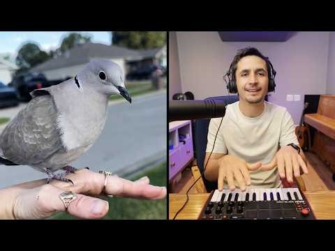 The Kiffness - Handsome Dove (Singing Dove Amapiano REMIX)