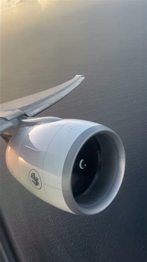 Can you name an engine sound better than GE90?✈️ with ig/dlnx.spotter