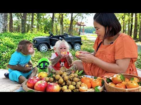 BUEM & CUTIS Plan a Special Fruit Picnic for Mom… A Heartwarming Family Moment!
