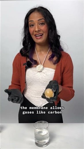 We Turned an Egg Into a Bouncy Ball