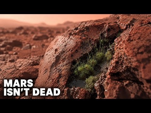 NASA Rover Captures Possible Life on Mars