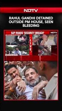 Rahul Gandhi Detained From Protest Site, Seen Bleeding From Nose