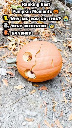 Ranking the Best Pumpkin Moments! 🎃 Why did this happen? 😭