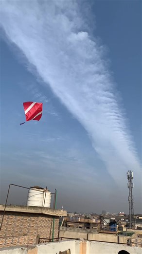 The Joy of Kite Flying: A Beginner's Guide