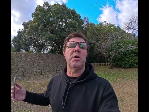 365 Daily Devotions Day 10 The Command