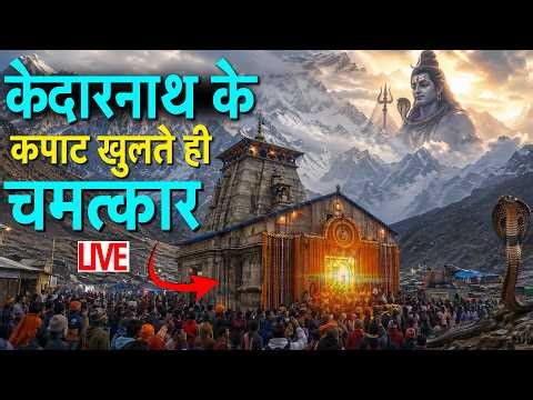 केदारनाथ धाम के live दर्शन | Kedarnath Dham Live | Kedarnath Dham Live Darshan | Kedarnath Darshan