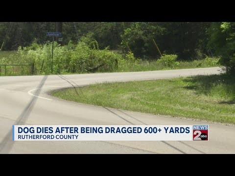 Dog dies after being dragged 600+ yards in Rutherford County