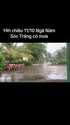 Thời Tiết Ngã Năm Sóc Trăng Hôm Nay (11/10): Có Mưa Vào 14h Chiều