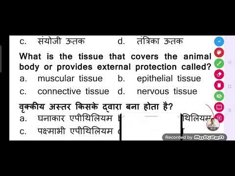 What is the tissue that covers the animal body or provides external protection called?