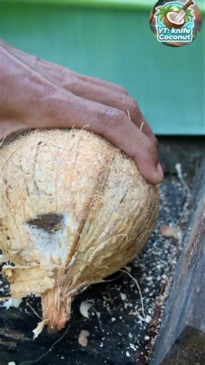 very beautiful open the crispy coconut