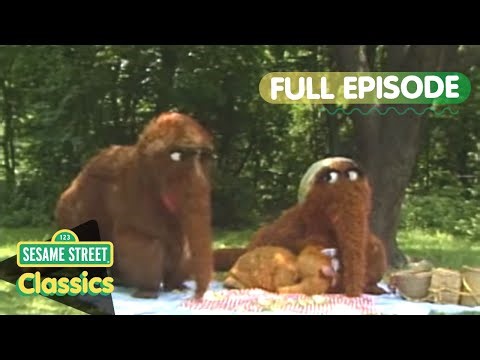Snuffleupagus Picnic in Central Park | Sesame Street Classics Full Episode