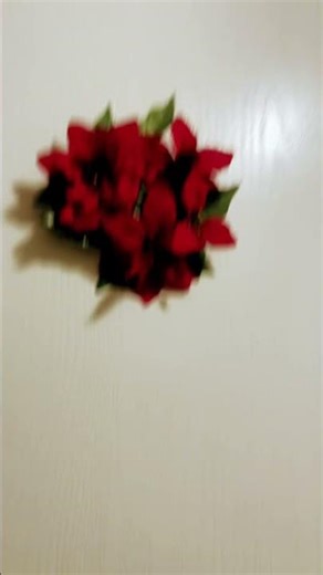 My brother’s Roblox girlfriend broke up with him