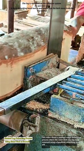 Manual Log Debarking Process Using Hand Tool at Sawmill