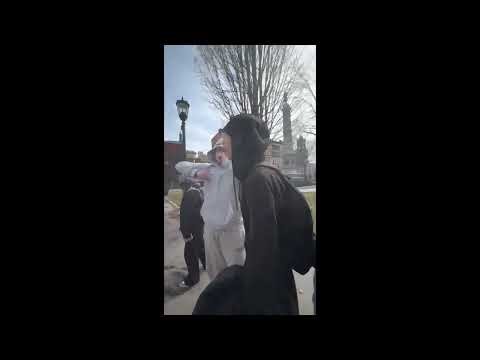 Springfield bus fight caught on camera outside Court Square