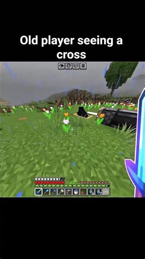 New vs old player seeing a cross