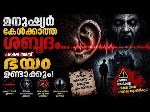 The Sound Humans Cannot Hear… But It Creates Fear 😨