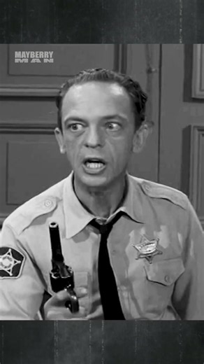 Barney Fife the dog trainer S5E6