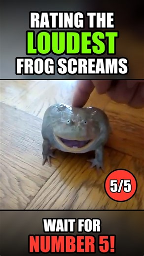 Rating the Funniest Frog Screams 🐸 (Wait for #5!)