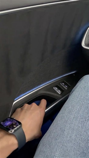 Lucid Air Sapphire Interior Door Handles