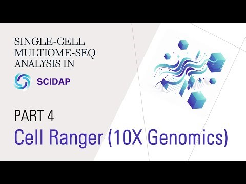 Single-cell Multiome (RNA+ATAC) Analysis 4. Cell Ranger Count