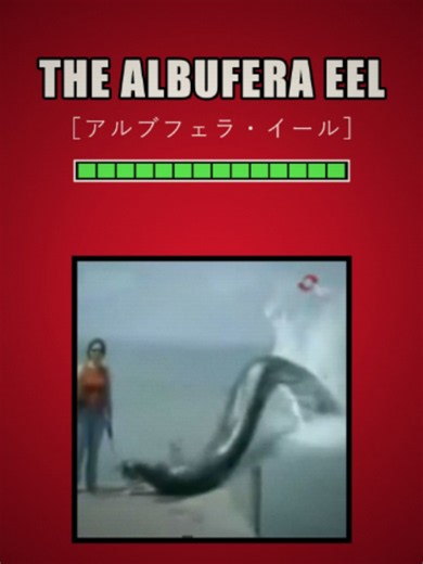 The Albufera Eel #horror #mystery #animation #snake | the albufera eel