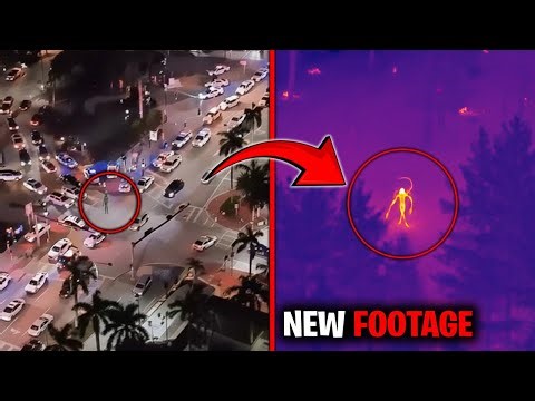 Miami Alien Has Returned! And People Finally Know The Truth!