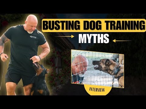The Truth About Pressure in Dog Training (No One Wants to Admit This)