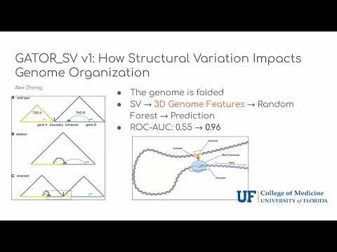 Lightning Poster Talks