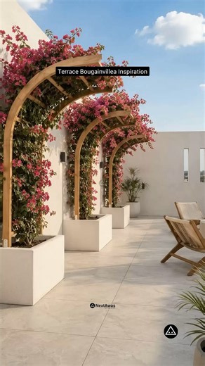Bring your terrace to life with blooming bougainvillea. | Outdoor patio privacy ideas, Privacy ideas for small patio, Terrace ideas for small spaces