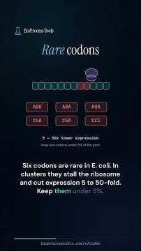 Codon Optimization: Does It Boost Protein Yield? CAI & Rare Codons