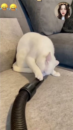 Crazy epic fails 😂😂 😂 #shorts #memes #fails #funnymoments