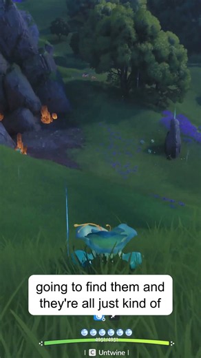 How to Get Iris Mountain Woods Form In Aniimo