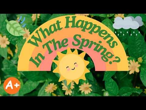 What Happens in the Spring? | Spring Weather & Nature for Kids