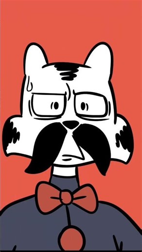 Quien es más tonto? 😅