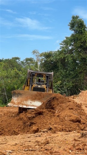 CAT D6R XL Bulldozer Working to Clear Plantation Land