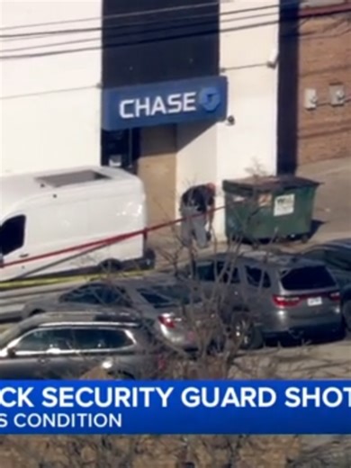 Bank Shooting and Robbery Incident in SW Side
