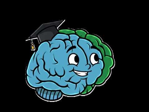 Elementary Math — Lecture 1 (Full) Number Line + Adding/Subtracting [LIVE] | Think! Before You Solve